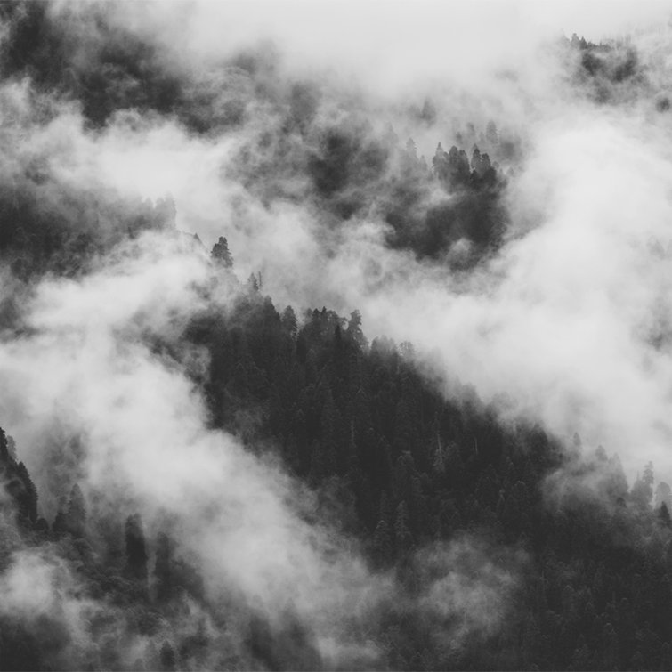 Marlow Home Co. Sumfleth 1.04m x 70cm Matte Wall Mural Wayfair.co.uk